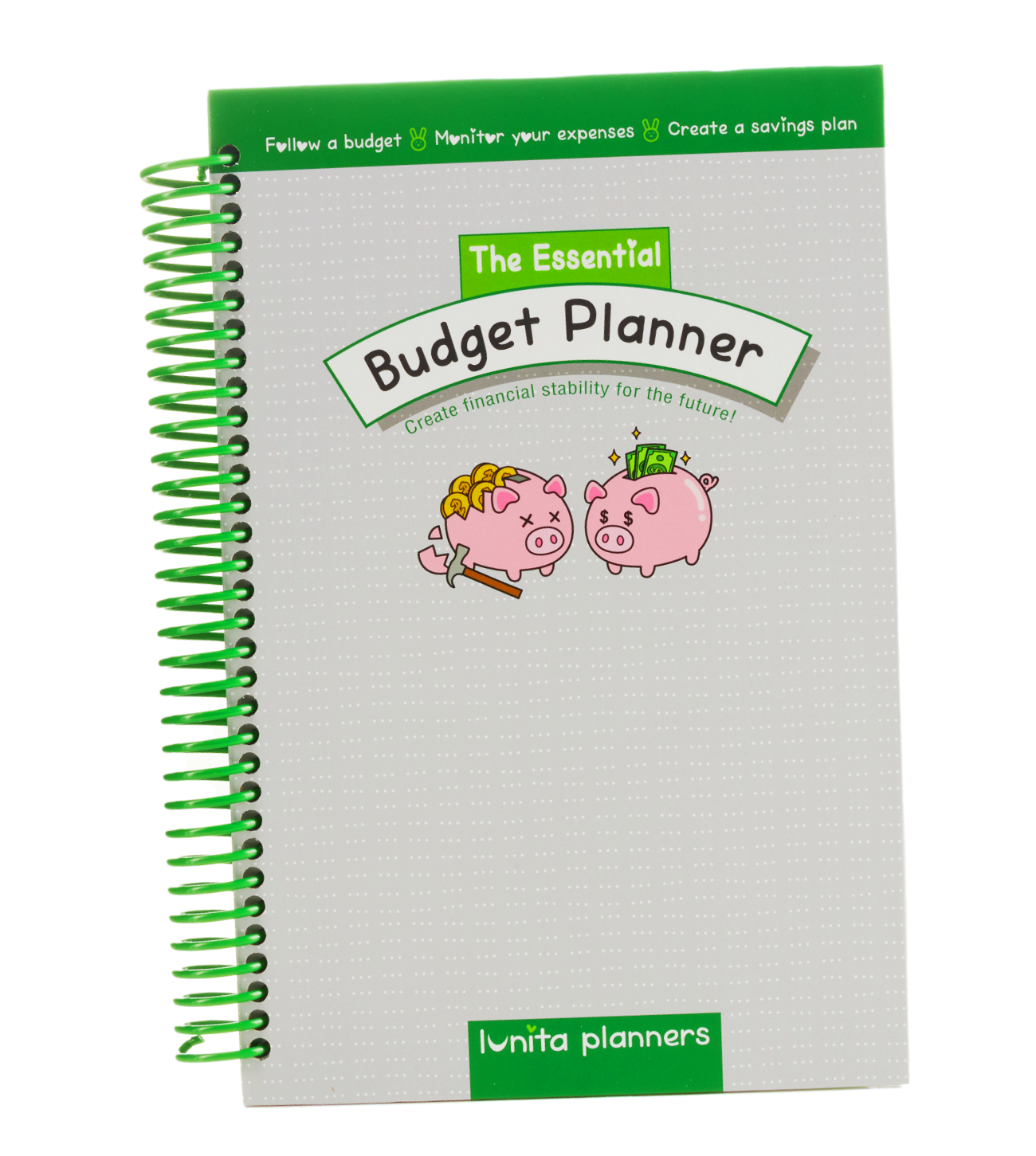 The Essential Budget Planner – Lunita Planners