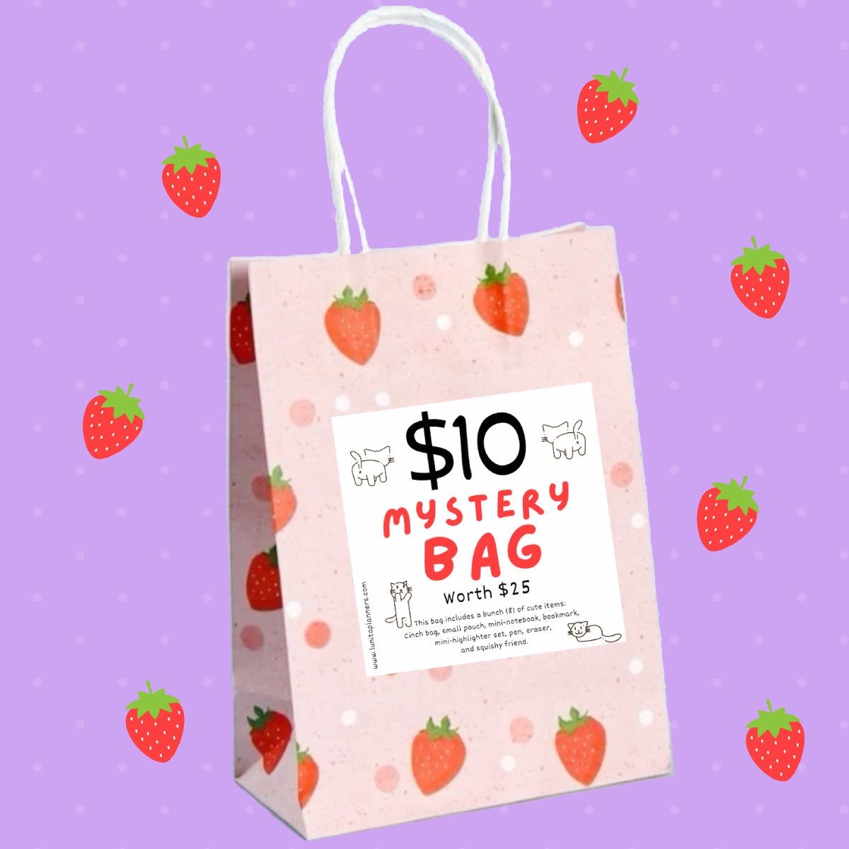 Mystery Bag