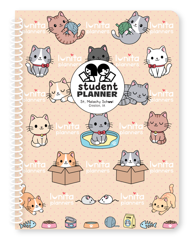 St Malachy - Kittens