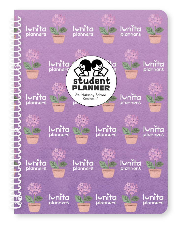 St Malachy - Purple Flowers