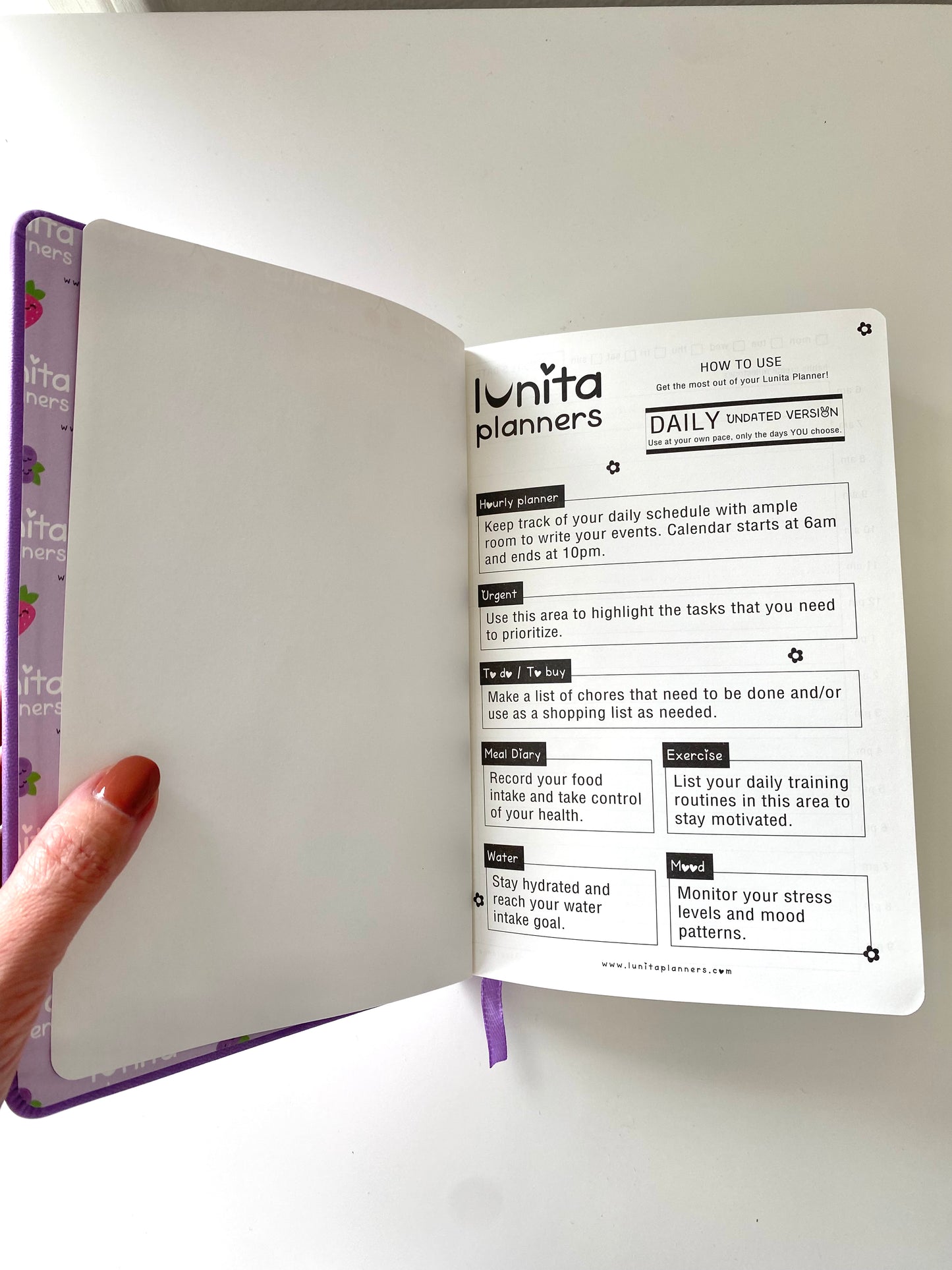 Berry Sweet π Purple Small Planner