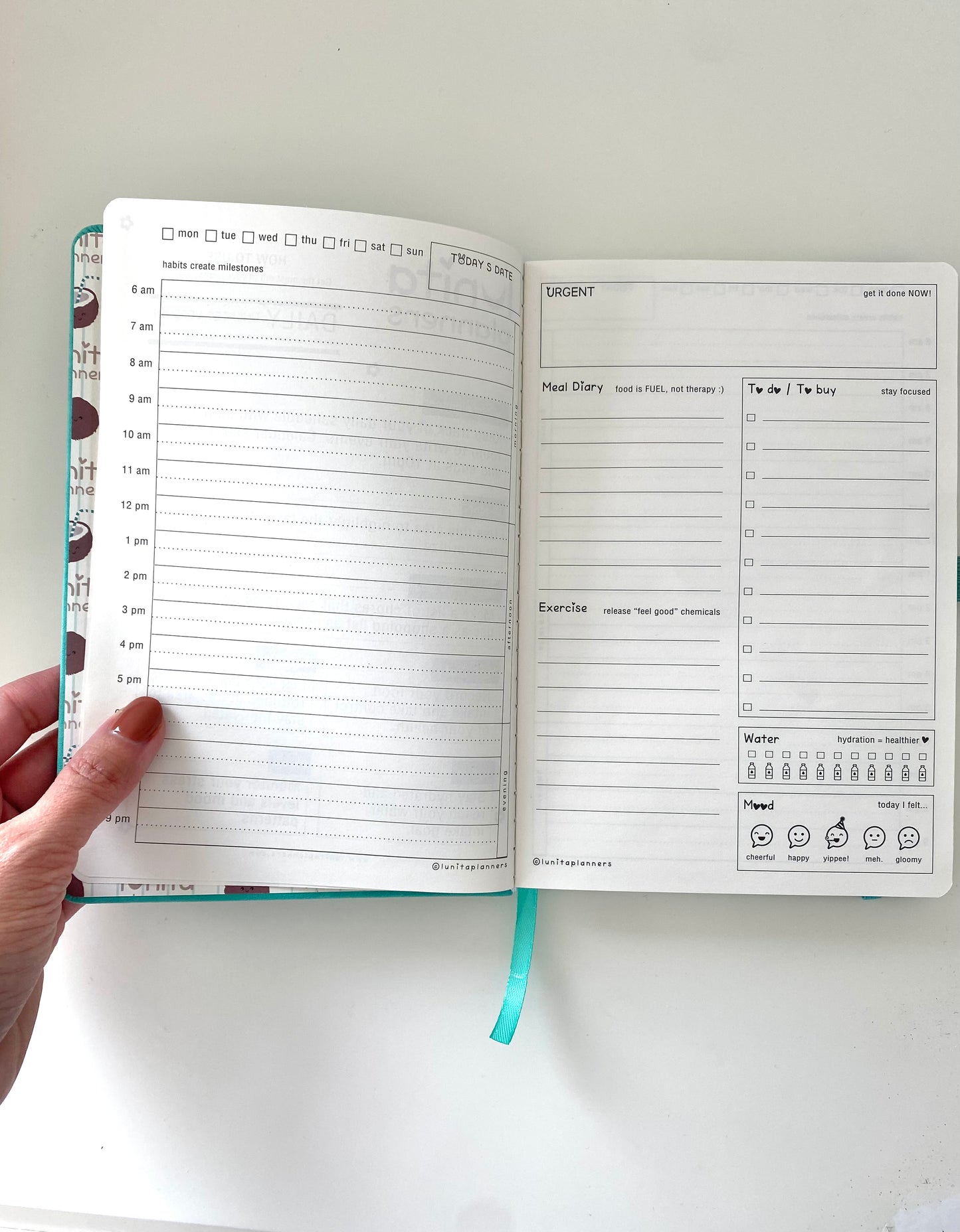 Coco-Beach 🥥🌴 Small Planner