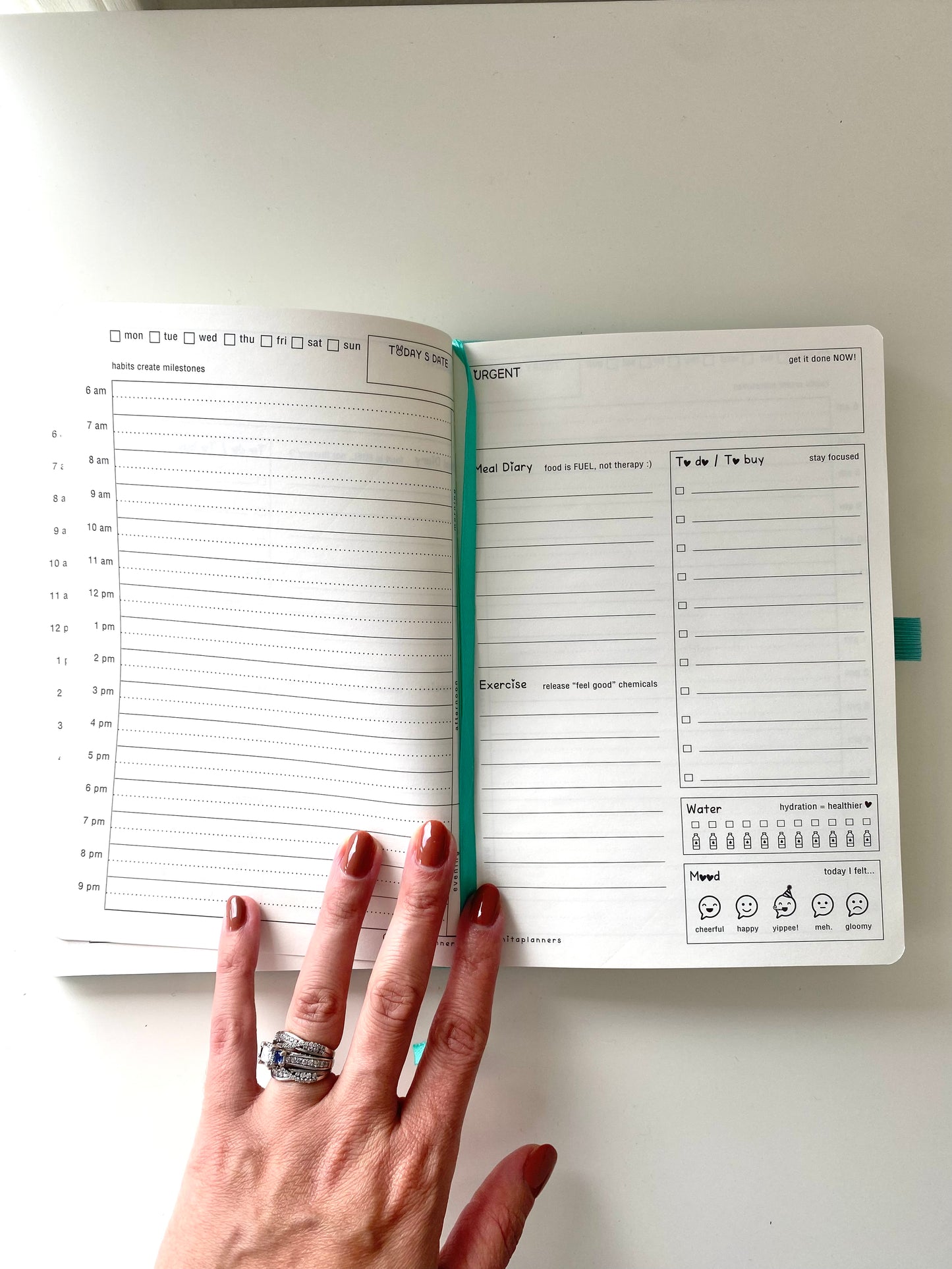Coco-Beach 🥥🌴 Small Planner