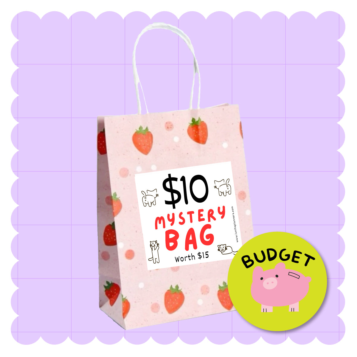 $10 Mystery Bag: BUDGET