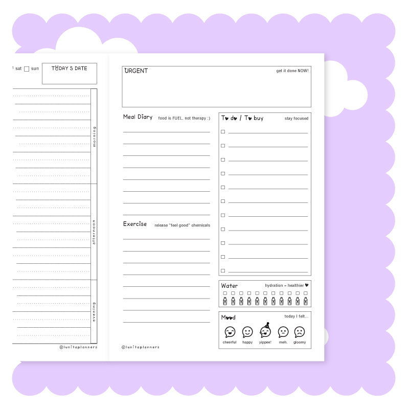 Purrfectly Melon 🐱🍉 Small Planner (Pink)