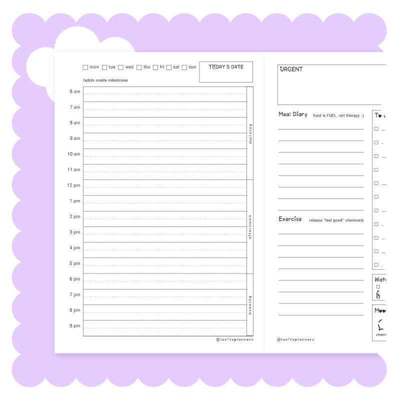 Purrfectly Melon 🐱🍉 Small Planner (Pink)