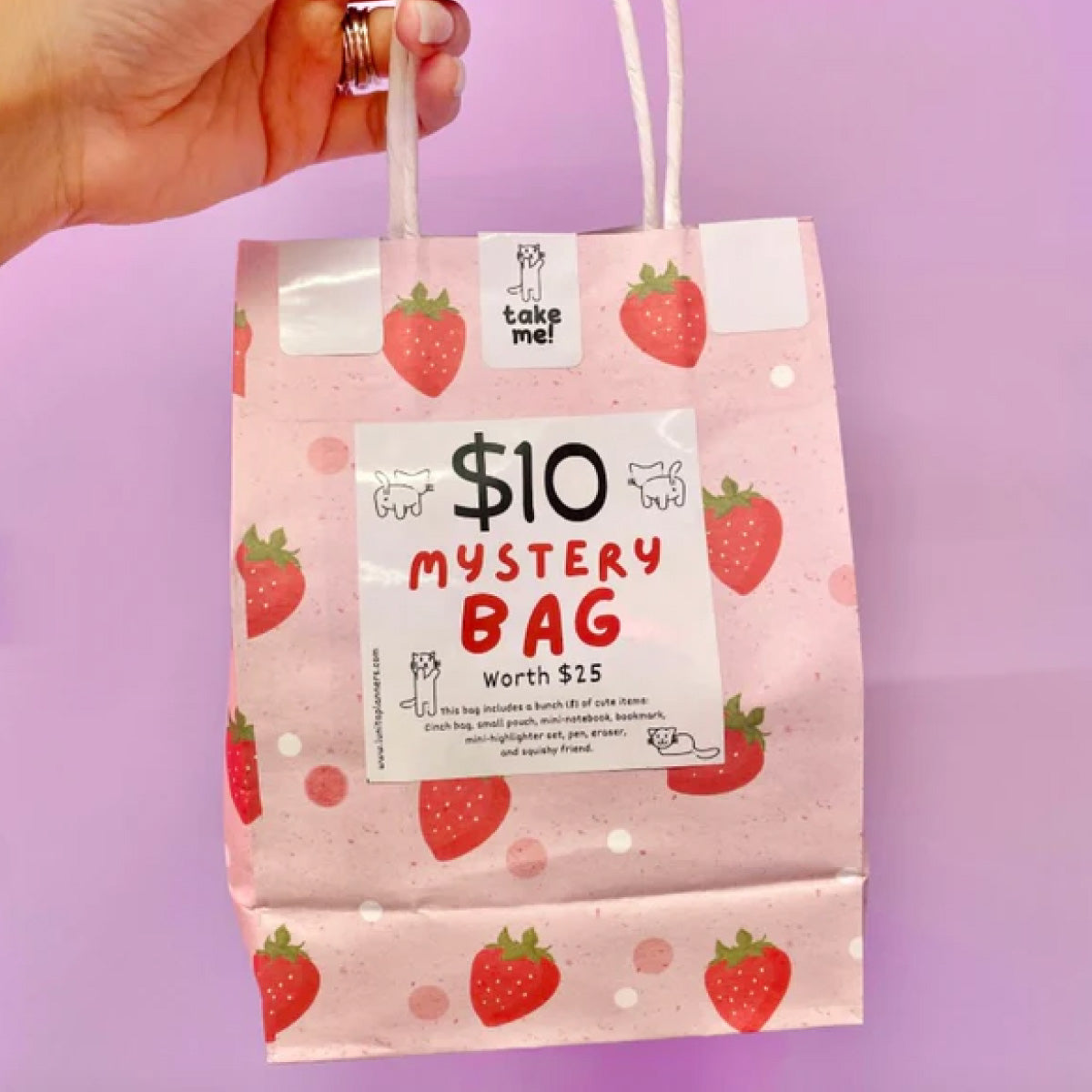 Mystery Bag