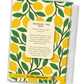 Squeeze the Day – ClearShell Planner